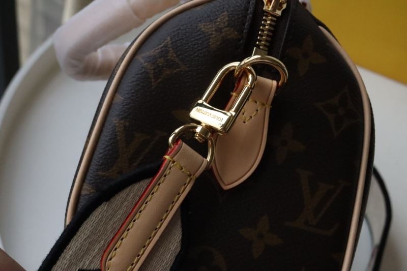 LV Speedy Bags